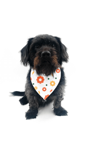 Vlastní potisk na Šátek pro Psa na Suchý Zips 38 - 45 cm