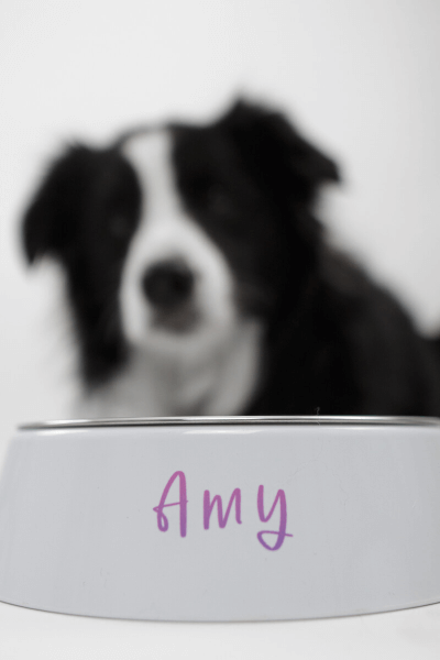 Miska pro Psa s Vlastním Potiskem s jménem psíka