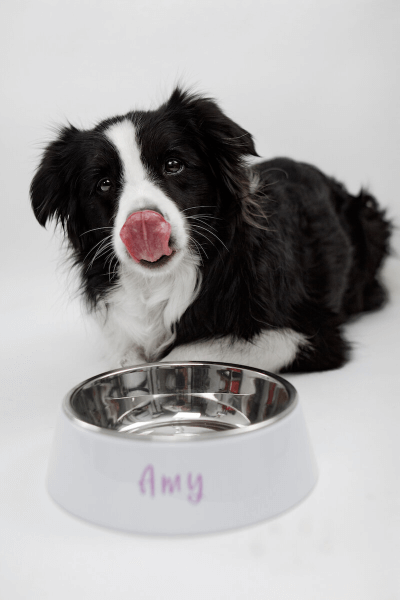 Potiska na Misku pro Psa