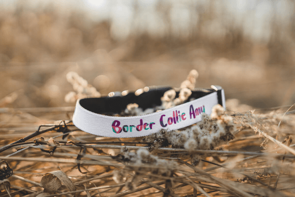 Vlastní Potisk na Obojek pro Psa | Puppynator.cz